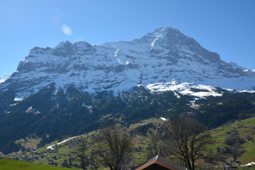 Apartment Schneerose - Griwa Rent Ag Grindelwald Exterior foto